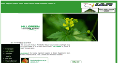 Desktop Screenshot of hillgreen.com